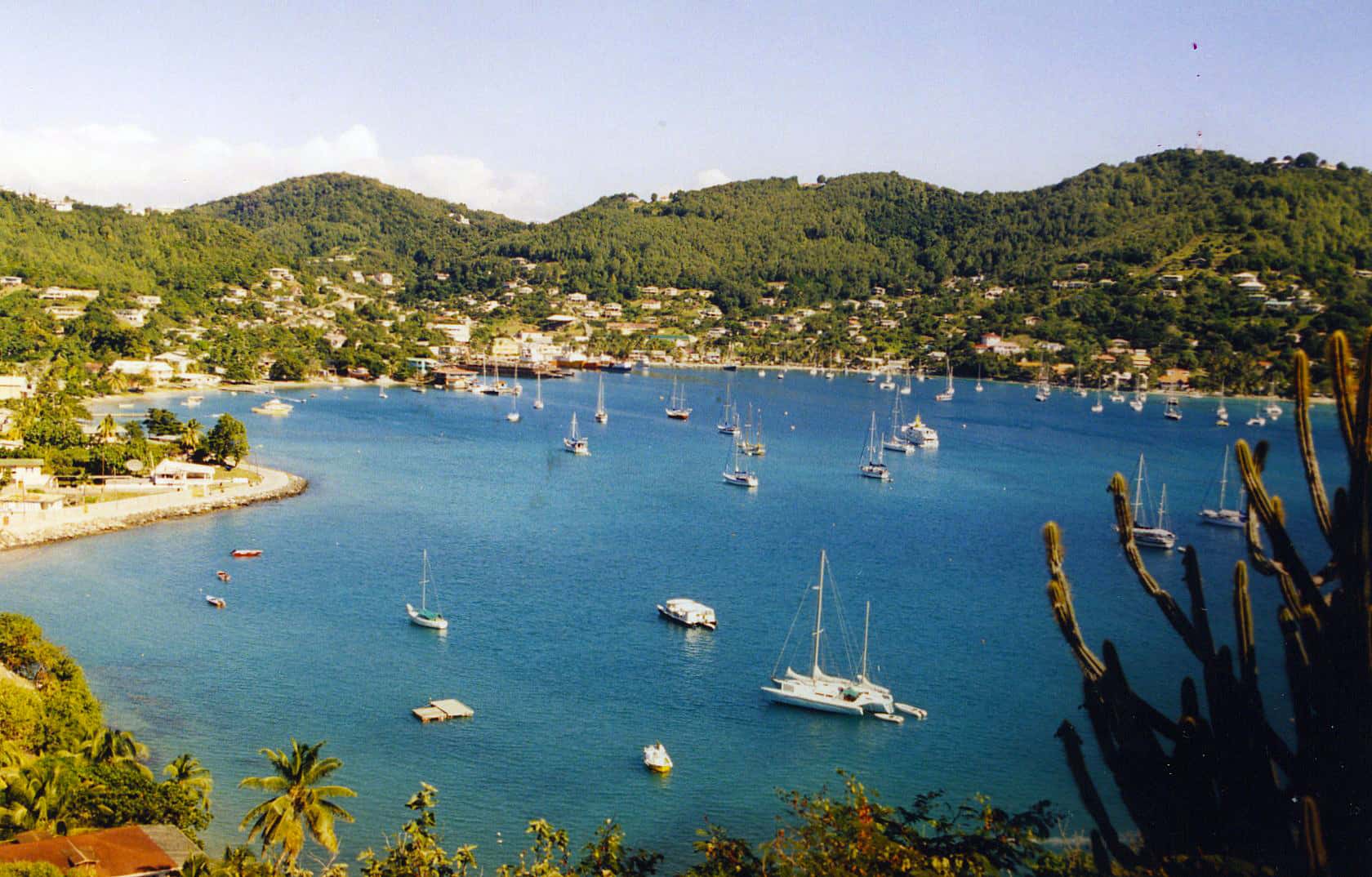 Caribbean Island Of Bequia To Become Bitcoin Community 