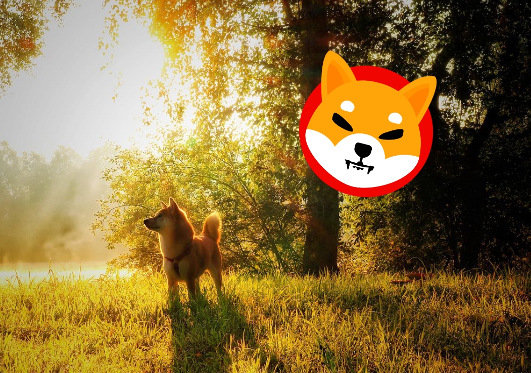 Shiba Inu Shibarium Shi Treat Lead Dev Shytoshi Releases Huge Update Blockbulletin