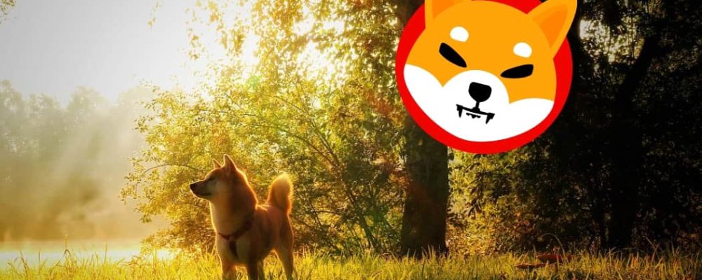 While the wait for the official launch of Shibarium continues, there is speculation suggesting that the SHIB price could reach $0.001