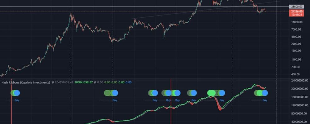 Strongest buying signal in Bitcoin's history has flashed - will there be a big rally with it once again