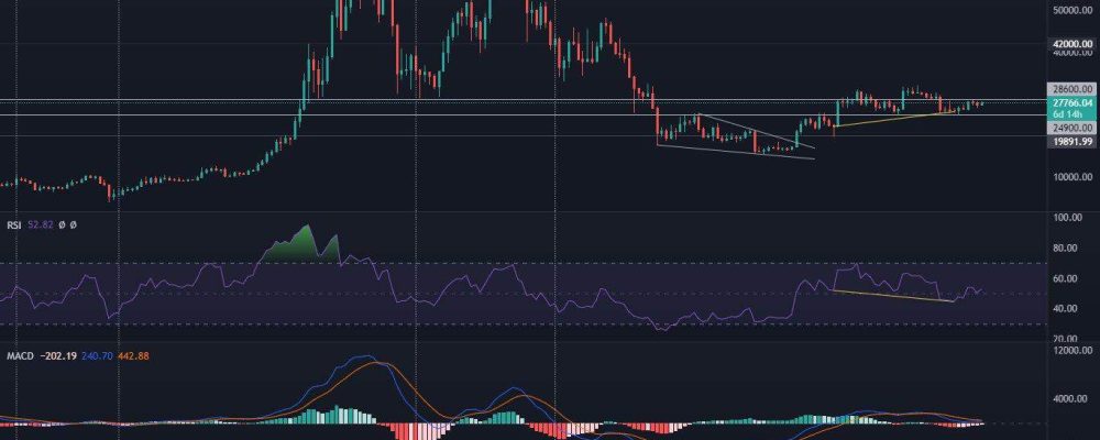 Optimism has returned to the Bitcoin chart